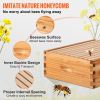 Bee Hive, 10-Frame Complete Beehive Kit, 100% Beeswax Natural Wood, Includes 1 Medium Box with 10 Wooden Frames and Waxed Foundations, for Begin