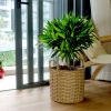 Set of 3 Multi-purposes Basket with handler - Hand Woven Wicker - Natural