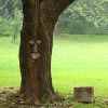 Resin Old Man Tree Hugger Bark Ghost Face Decoration Funny Tree Face